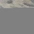 9' X 12' Beige Gray And Ivory Floral Washable Area Rug With UV Protection