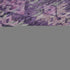 8' X 10' Eggplant Lavender And Gray Ikat Washable Area Rug With UV Protection