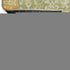 8' Sage Gold And Copper Oriental Washable Round Rug With UV Protection