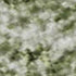 5' X 8' Sage And Ivory Oriental Washable Area Rug With UV Protection
