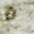 8' X 10' Beige And Green Oriental Washable Area Rug With UV Protection
