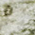 8' X 10' Beige And Green Oriental Washable Area Rug With UV Protection