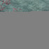 5' X 8' Pale Aqua And Burgundy Floral Washable Area Rug With UV Protection