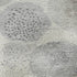 8' Ivory Gray And Silver Geometric Washable Round Rug With UV Protection