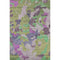 5' X 8' Fern Green Eggplant And Blush Geometric Washable Area Rug With UV Protection