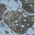 5' X 8' Blue Gray And Ivory Abstract Washable Area Rug With UV Protection