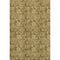 8' X 10' Coffee And Beige Floral Washable Area Rug With UV Protection