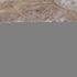 8' X 10' Salmon And Lavender Abstract Washable Area Rug With UV Protection