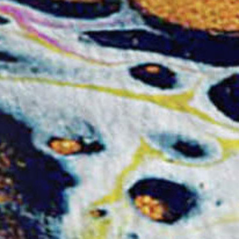 50" X 70" White Blue And Gold Abstract Microfiber Plush Throw Blanket