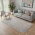 5' X 8' Gray And Red Medallion Distressed Area Rug