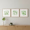 Set Of Three Green Modern Garden Gold Framed Wall Art