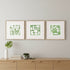 Set Of Three Green Modern Garden Gold Framed Wall Art