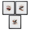 Bohemia Black Framed Wall Art