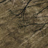 5' X 8' Brown And Charcoal Floral Washable Area Rug With UV Protection