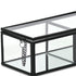 2" Black Glass Hand Painted Decorative Box