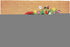 24" X 36" Brown And Red Floral Outdoor Coir Door Mat