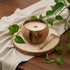 4" Ivory Unscented Candle In Brown Coconut Shell Holder