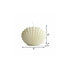 4" Ivory Unscented Dimensional Seashell Candle