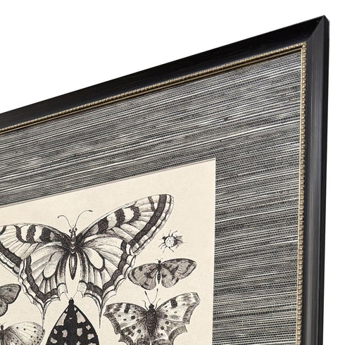 Set Of Four Anthropod Collection Set of Set Black Framed Wall Art