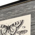 Set Of Four Anthropod Collection Set of Set Black Framed Wall Art