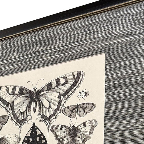 Set Of Four Anthropod Collection Set of Set Black Framed Wall Art