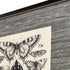 Set Of Four Anthropod Collection Set of Set Black Framed Wall Art
