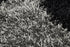 8' Gray And Black Abstract Shag Hand Tufted Round Rug