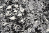 8' X 10' Brown Ivory Black And Light Gray Oriental Area Rug