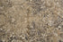 8' Gold Beige And Ivory New Zealand Lambs Wool Damask Hand Carved Handmade Area Rug