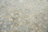 9' X 12' Gray Brown And Beige New Zealand Lambs Wool Oriental Hand Carved Handmade Area Rug