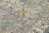 9' X 12' Beige Gray And Ivory New Zealand Lambs Wool Oriental Hand Carved Handmade Area Rug