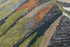 9' X 12' Charcoal Gray Green Orange Brown And Ivory Floral Hand Tufted Area Rug