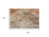 8' X 10' Green Beige And Apricot New Zealand Lambs Wool Oriental Hand Carved Handmade Area Rug