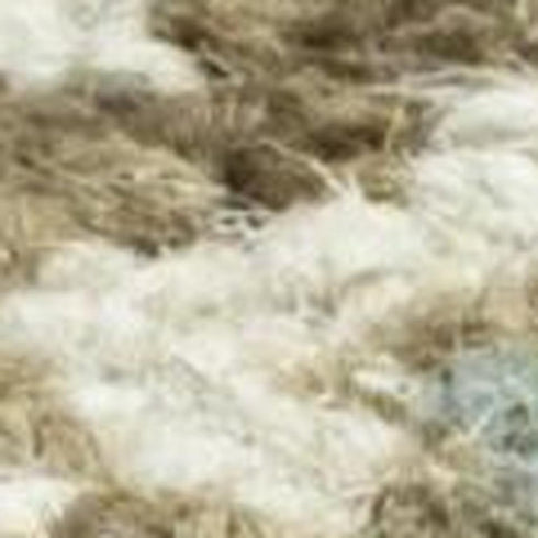 8' X 10' Blue And Ivory Wool Oriental Hand Tufted Area Rug