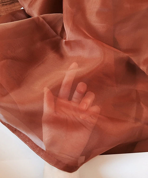 Celine Sheer Window Curtain Scarf 54 x 216 in.